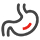 normal product icon of 消化系統