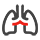 normal product icon of 呼吸系統