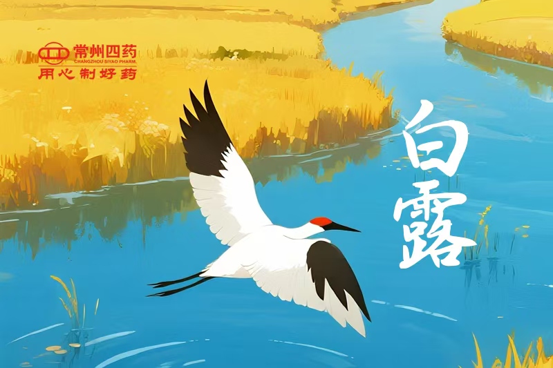 今日白露 | 一夜涼一夜，鴻雁南歸時