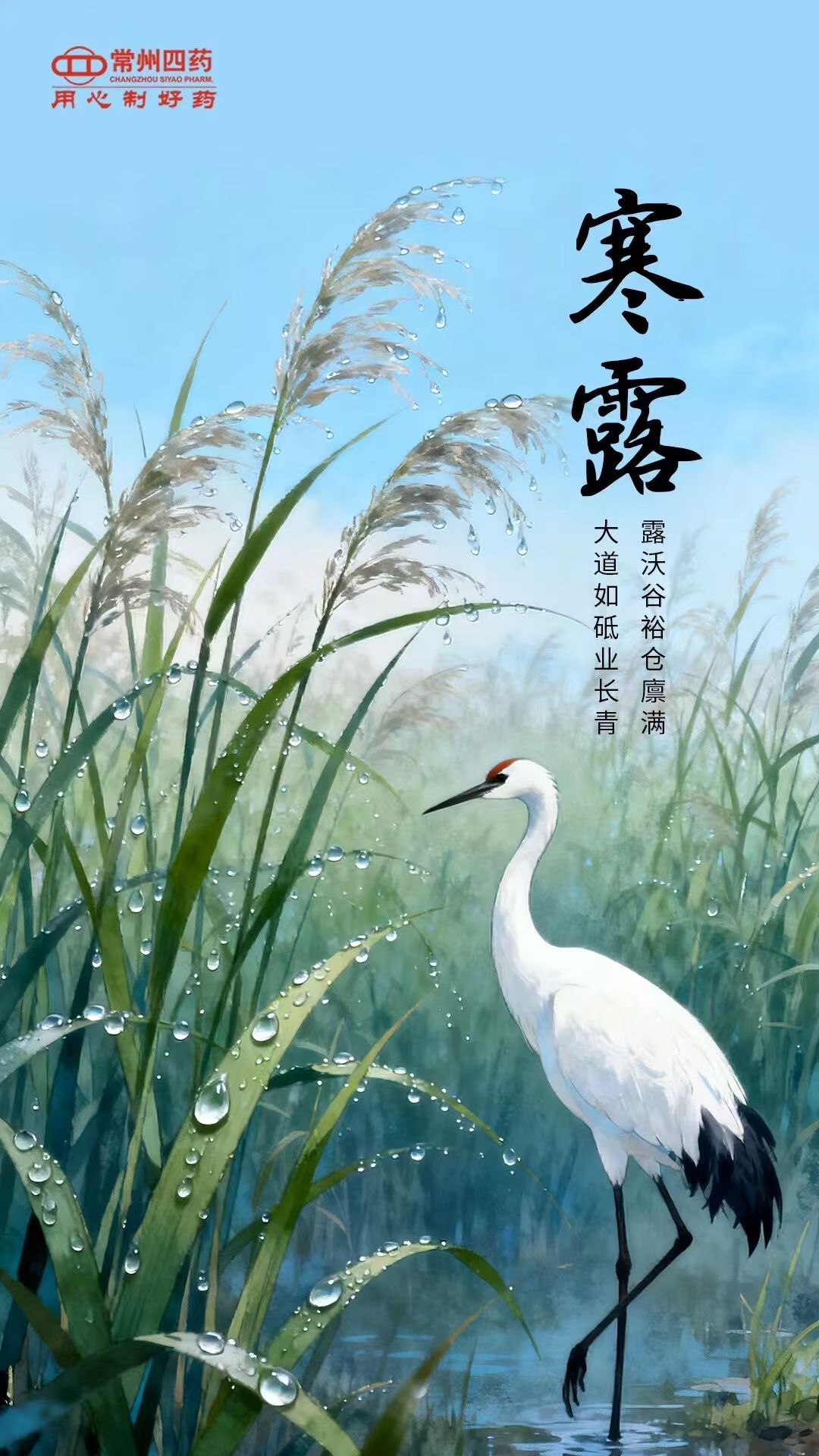 今日寒露|露重風涼，記得添衣